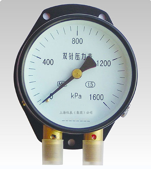 YZS-102双针压力表
